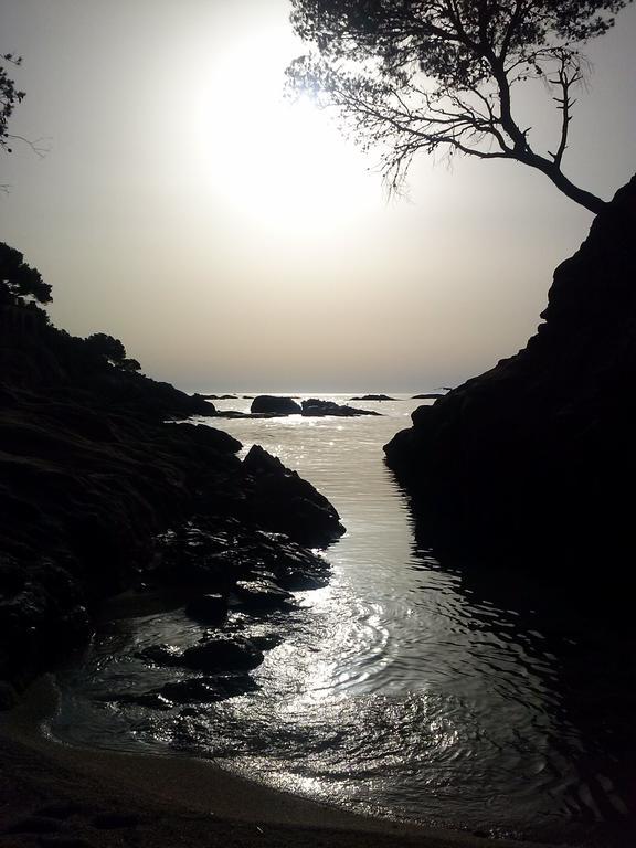 بلاتجا ذارو Hostal La Marina المظهر الخارجي الصورة